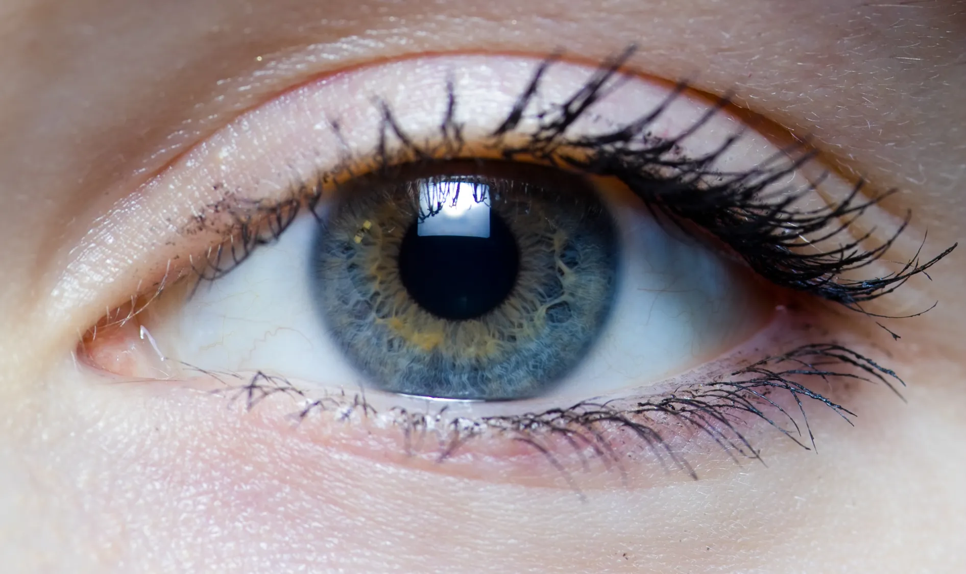 Close up of an eye of a white person with blue eyes